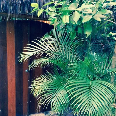 Canto Do Buganville Vila do Abraao Exterior photo