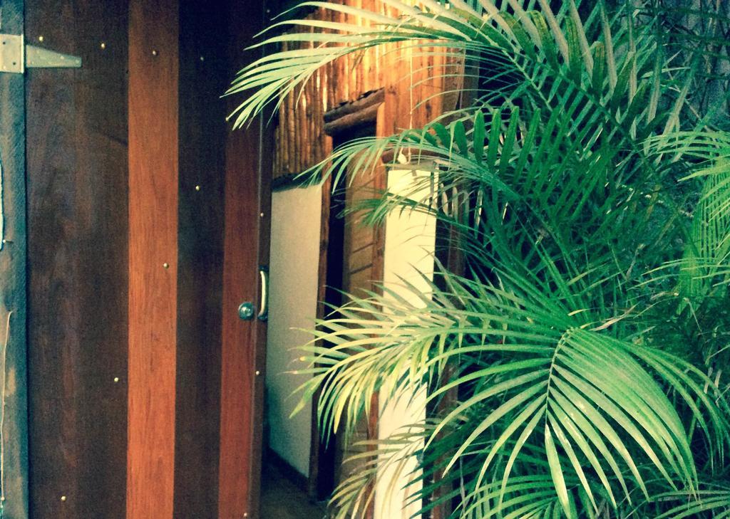 Apartment Canto Do Buganville *